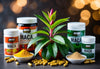 Maca Increase Testosterone: Scientific Evidence and Natural Supplementation Benefits
